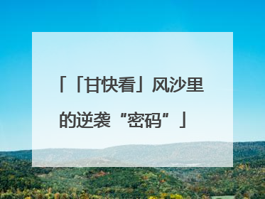 「甘快看」风沙里的逆袭“密码”