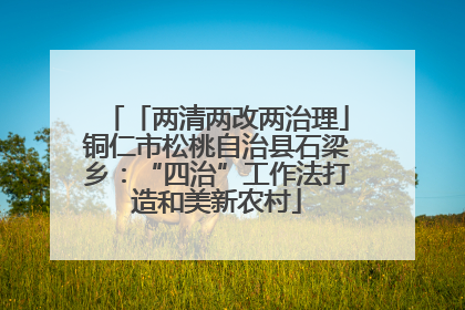 「两清两改两治理」铜仁市松桃自治县石梁乡：“四治”工作法打造和美新农村