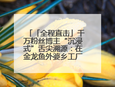 「全程直击」千万粉丝博主“沉浸式”舌尖溯源：在金龙鱼外婆乡工厂寻回记忆中
