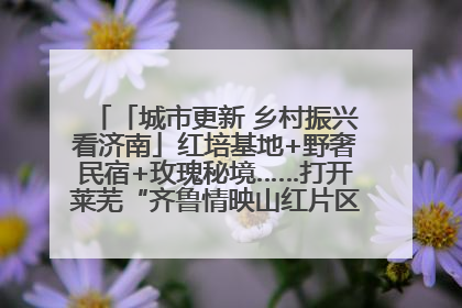 「城市更新 乡村振兴看济南」红培基地+野奢民宿+玫瑰秘境……打开莱芜“齐鲁情映山红片区”的破圈秘籍