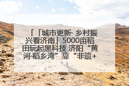 「城市更新· 乡村振兴看济南」5000亩稻田玩起黑科技 济阳“黄河·稻乡湾”靠“非遗+露营”火出圈