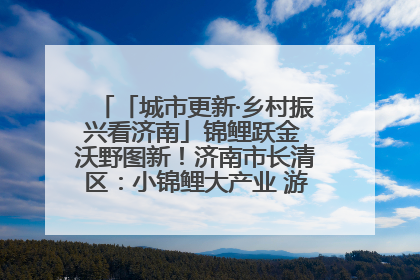 「城市更新·乡村振兴看济南」锦鲤跃金 沃野图新！济南市长清区：小锦鲤大产业 游出农旅新风景