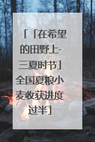 「在希望的田野上·三夏时节」全国夏粮小麦收获进度过半