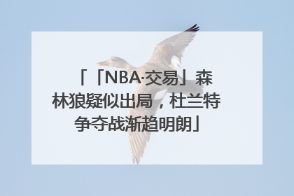 「NBA·交易」森林狼疑似出局，杜兰特争夺战渐趋明朗