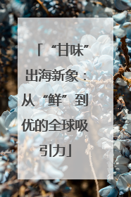 “甘味”出海新象：从“鲜”到优的全球吸引力