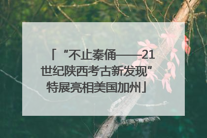 “不止秦俑——21世纪陕西考古新发现”特展亮相美国加州