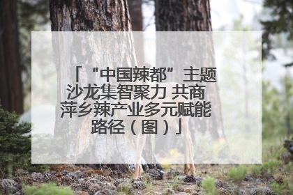 “中国辣都”主题沙龙集智聚力 共商萍乡辣产业多元赋能路径（图）