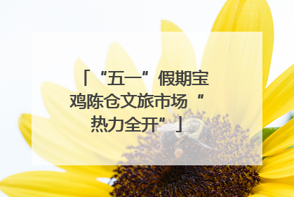 “五一”假期宝鸡陈仓文旅市场“热力全开”