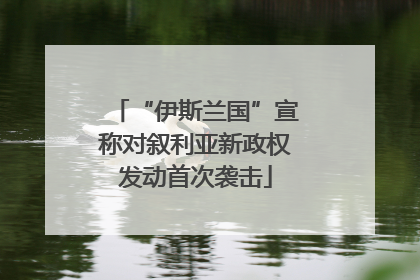 “伊斯兰国”宣称对叙利亚新政权发动首次袭击