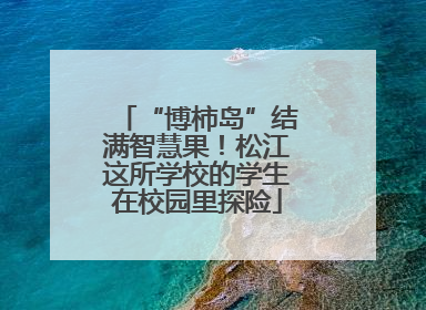 “博柿岛”结满智慧果！松江这所学校的学生在校园里探险
