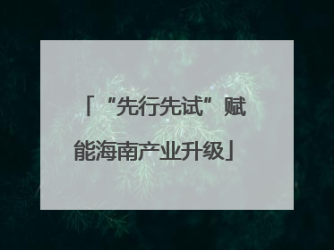 “先行先试”赋能海南产业升级