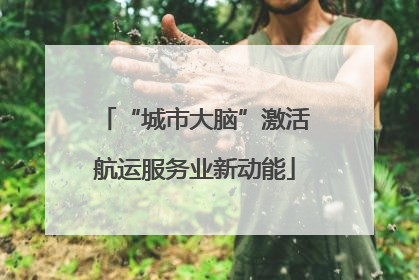 “城市大脑”激活航运服务业新动能