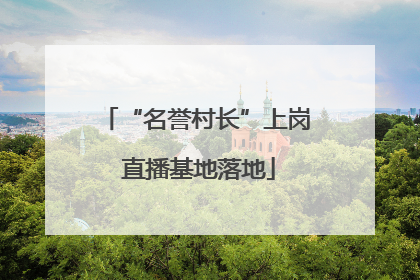 “名誉村长”上岗 直播基地落地