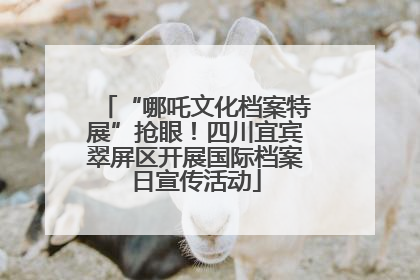 “哪吒文化档案特展”抢眼！四川宜宾翠屏区开展国际档案日宣传活动