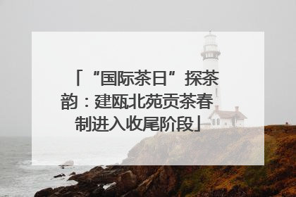 “国际茶日”探茶韵：建瓯北苑贡茶春制进入收尾阶段