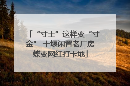 “寸土”这样变“寸金” 十堰闲置老厂房蝶变网红打卡地