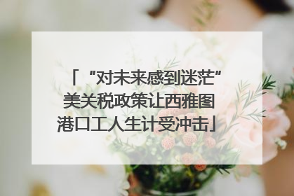 “对未来感到迷茫” 美关税政策让西雅图港口工人生计受冲击