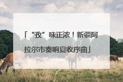 “孜”味正浓！新疆阿拉尔市奏响夏收序曲