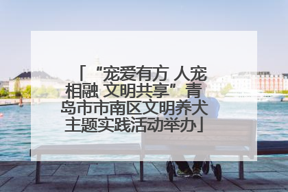 “宠爱有方 人宠相融 文明共享”青岛市市南区文明养犬主题实践活动举办