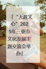 “天涯文心”2025年三亚市文化发展主题交流会举办