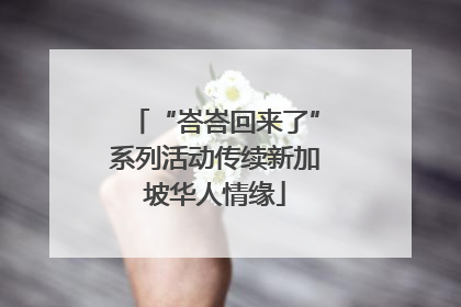 “峇峇回来了”系列活动传续新加坡华人情缘