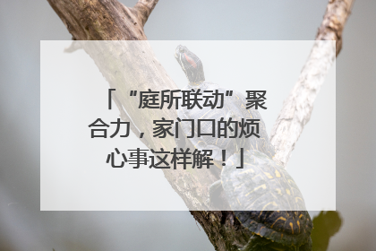 “庭所联动”聚合力，家门口的烦心事这样解！