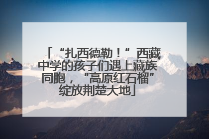 “扎西德勒！”西藏中学的孩子们遇上藏族同胞，“高原红石榴”绽放荆楚大地