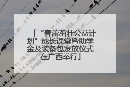 “春蕾茁壮公益计划”成长课堂暨助学金及装备包发放仪式在广西举行