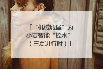 “机械城堡”为小麦智能“控水”（三夏进行时）