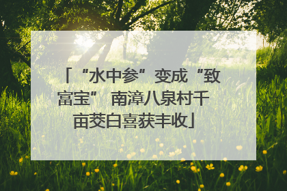 “水中参”变成“致富宝” 南漳八泉村千亩茭白喜获丰收
