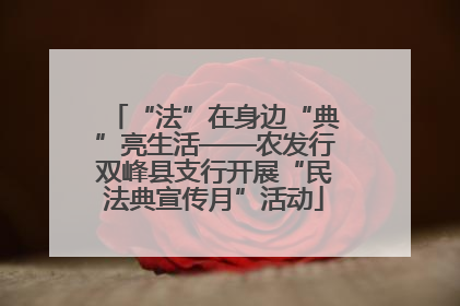 “法”在身边“典”亮生活——农发行双峰县支行开展“民法典宣传月”活动