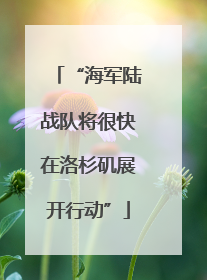 “海军陆战队将很快在洛杉矶展开行动”