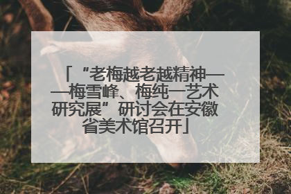 “老梅越老越精神——梅雪峰、梅纯一艺术研究展”研讨会在安徽省美术馆召开