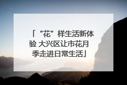 “花”样生活新体验 大兴区让市花月季走进日常生活