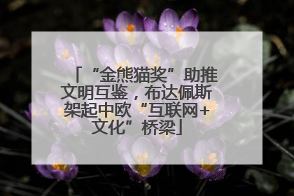“金熊猫奖”助推文明互鉴，布达佩斯架起中欧“互联网+文化”桥梁