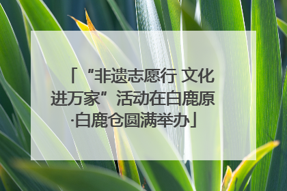 “非遗志愿行 文化进万家”活动在白鹿原·白鹿仓圆满举办