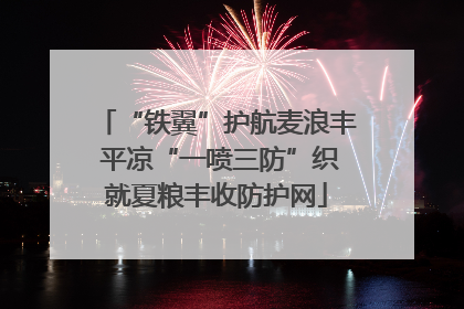 “铁翼”护航麦浪丰 平凉“一喷三防”织就夏粮丰收防护网