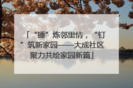 “锤”炼邻里情，“钉”筑新家园——大成社区聚力共绘家园新篇