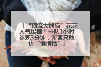 “顶流大熊猫”花花人气爆棚！排队1小时参观3分钟，游客只敢讲“悄悄话”