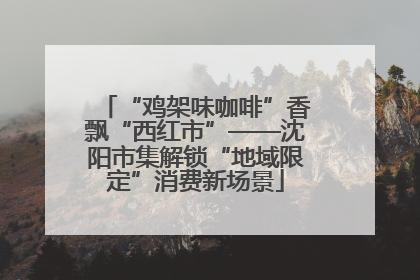 “鸡架味咖啡”香飘“西红市”——沈阳市集解锁“地域限定”消费新场景
