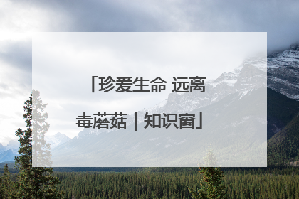 珍爱生命 远离毒蘑菇｜知识窗