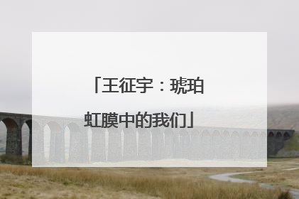 王征宇：琥珀虹膜中的我们