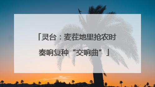 灵台：麦茬地里抢农时 奏响复种“交响曲”