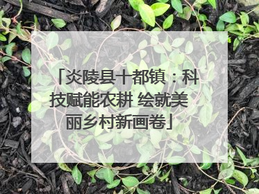 炎陵县十都镇：科技赋能农耕 绘就美丽乡村新画卷
