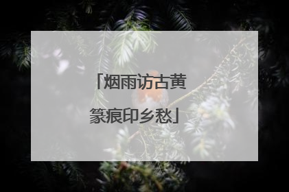 烟雨访古黄 篆痕印乡愁