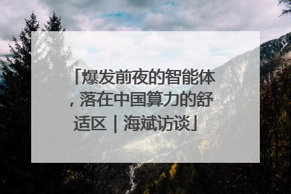 爆发前夜的智能体，落在中国算力的舒适区｜海斌访谈