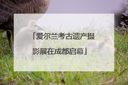 爱尔兰考古遗产摄影展在成都启幕