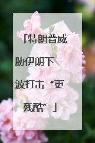 特朗普威胁伊朗下一波打击“更残酷”