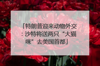 特朗普迎来动物外交：沙特将送两只“大猫咪”去美国首都