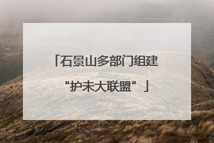 石景山多部门组建“护未大联盟”